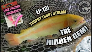 TROUT Fishing at HIDDEN GEM Trophy Trout (First Palomino!)