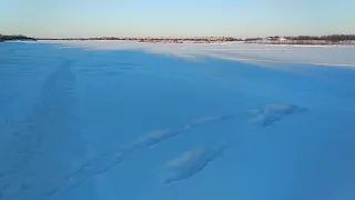 Схватка с матерым волком