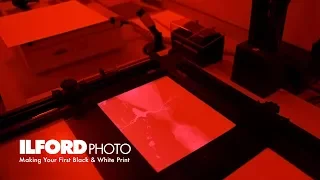 Making Your First Black & White Darkroom Print