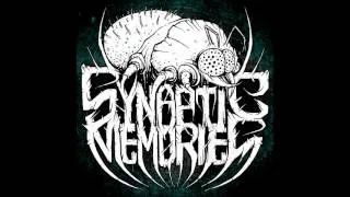 Synaptic Memories - The Profane