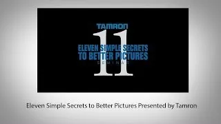 11 Simple Secrets to Better Pictures