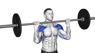 The best shoulder exercises (Barbell or Dumbbell only)