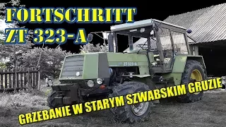 ZT 323-A ROZBIÓRKA, USZCZELNIACZ WAŁU, POMPY, WTRYSKI, KOŃCA NIE WIDAĆ...