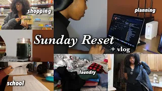 SUNDAY RESET: Planning, Shopping, Vlog, Laundry, etc. || Rowshaye