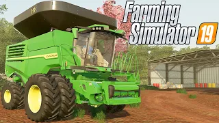 AUMENTANDO A CAPACIDADE DO GRANELEIRO | Farming Simulator 19 | Fazendas Paraná - Episódio 132