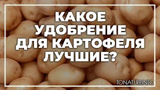 Какое удобрение для картофеля лучшие? | toNature.Info