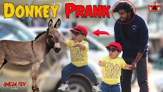 Funny Donkey Prank - Most Funny Reactions 2024@NewTalentOfficial