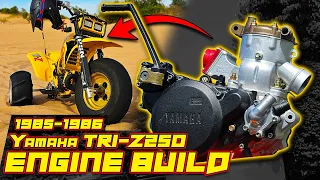 How to Build a Yamaha TRI-Z 250 Engine | 1985 - 1986 Full Build Step by Step