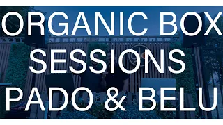 Organic Box Sessions #1 - Pado & Belu Live @ August no.2, Iasi, Ro