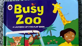 Story 2 ‘Busy zoo’