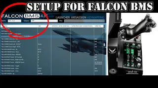 Thrustmaster Viper TQS Setup in Falcon BMS
