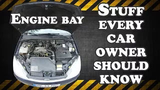 Things every car owner should know - Engine bay