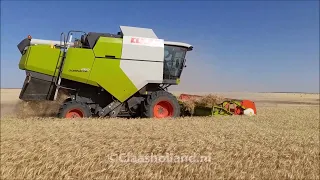 CLAAS DOMINATOR 260  in Sudan