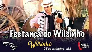 Festança do Wilsinho - WILSINHO "O Fera da Sanfona" vol.2