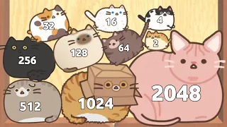 Merge Cat 3D - ASMR Gameplay (Cat Evolution, Level Up Balls 2048 Puzzle)