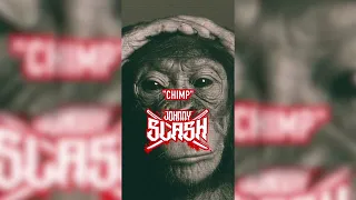 "CHIMP" - Sean Price x Madlib x MF DOOM Type Beat 2022 (Prod. Johnny Slash)