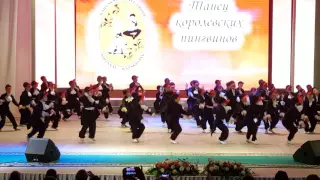 Королевские пингвины 2016