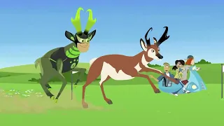3-8 Братья Кратт - Гонка невероятных зверей / Wild Kratts - The Amazing Creature Race
