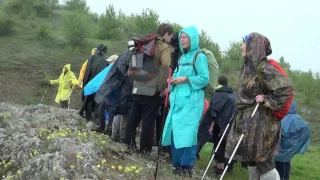 Туристические песни.  Песни у костра.  Вальс в ритме дождя.