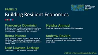 GEM23 Panel 2: Building Resilient Economies