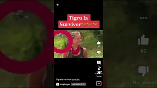 Un tigru ataca concurenții de la SURVIVOR ROMÂNIA ❌❌❌❌