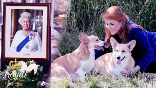 Sarah Ferguson Releases Special Message About late Queen's Cherished Corgis @TheRoyalInsider