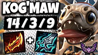 KogMaw vs Kalista [ ADC ] Lol Korea Master Patch 14.10 ✅