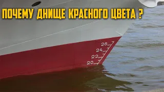 Для чего низ корабля красят в красный цвет?