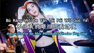 Bu Rang Wo De Yan Lei Pei Wo Guo Ye 不让我的眼泪陪我过夜 Remix #dj抖音版