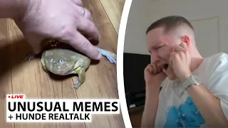 Justin reagiert auf UNUSUAL MEMES | Live - Reaktion