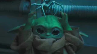 Baby Yoda Hates Spiders