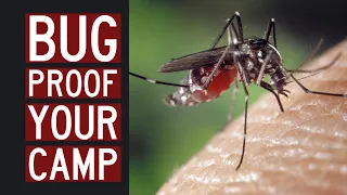 Cliff Jacobson's tips for bug-proofing your camp