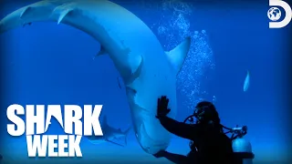 Most Frightening Moments from Shark Week: Sharksanity 2014 | Discovery