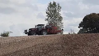 Weaving Sabre tine drilling wheat into spring bean stubble