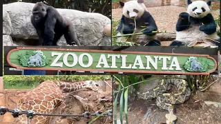 A tour of Zoo Atlanta USA in 2022