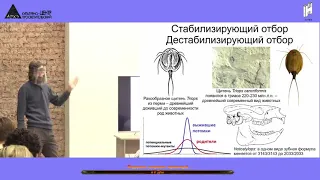 Теория эволюции #2