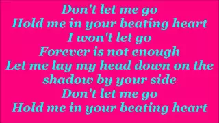 Dont Let Me Go - Raign Lyrics