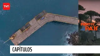 Tocopilla | Frutos del país