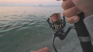 7 kg King Mackerel on Shimano Twin Power FD beach casting