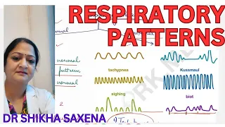 Respiratory Patterns, Respiratory System, Telegram https://t.me/drshikhasaxenahumanphysiology