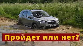 SUBARU FORESTER 2020: хорош во всем, кроме ГЕОМЕТРИИ | ПОКРОВСКИЙ