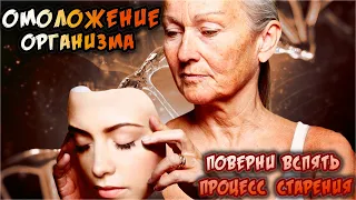 Омоложение организма. Как повернуть вспять процесс старения?