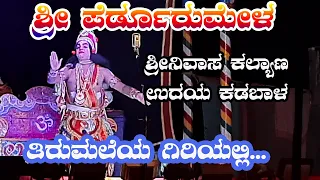 👌👌🙏ತಿರುಮಲೆಯ ಗಿರಿಯಲ್ಲಿ...//udaya kadabala