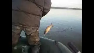 Как правильно рыбачить