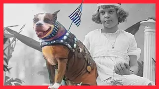 Real Sergeant Stubby Story | The War Dog Hero