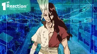 DR. STONE: Survival and the Folly of Man | First Reaction