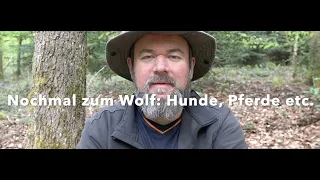 Wolfbegegnung mit Hund, Pferd oder im Lager/Schlaf