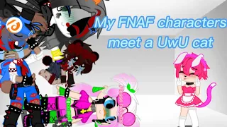 FNAF characters meet uwu cat￼ (rushed)￼