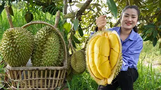 '' Durian fruit season '' Have you ever harvested durian fruit and cooked ? - Countryside life TV