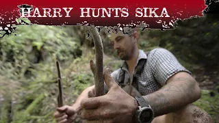 Harry Hunts Sika